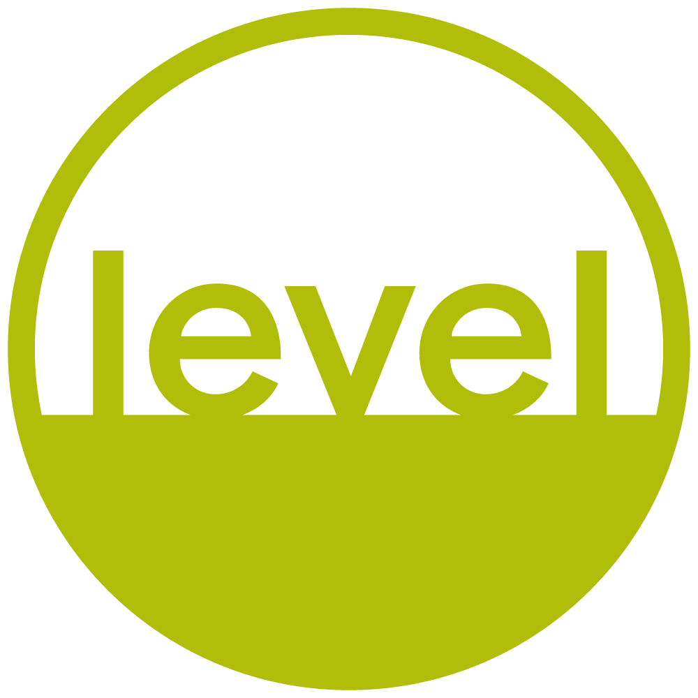 level Logo