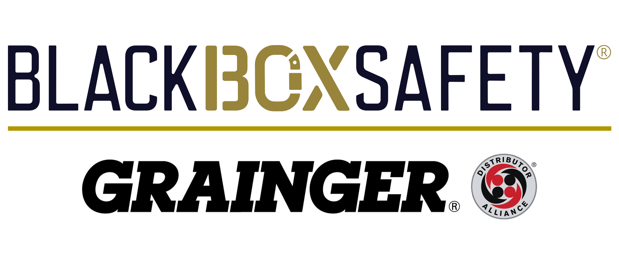 Black Box Safety